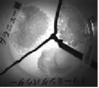 image example of wavelength ranges 900nm to 1290nm